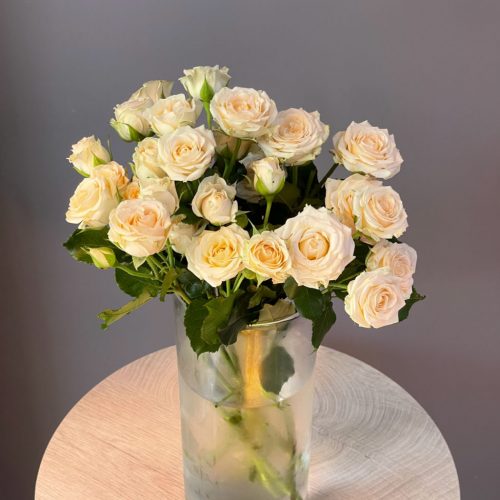 Роза кустовая кремовая