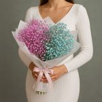 Гипсофилы синие